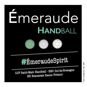 Emeraude Handball 3